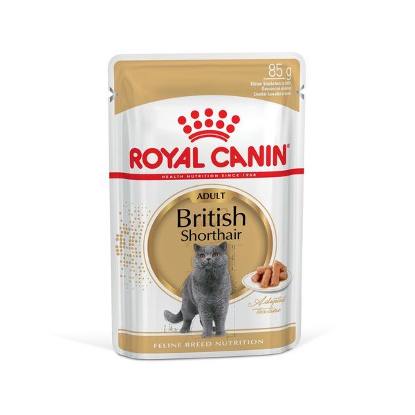 Royal Canin British Shorthair Adult