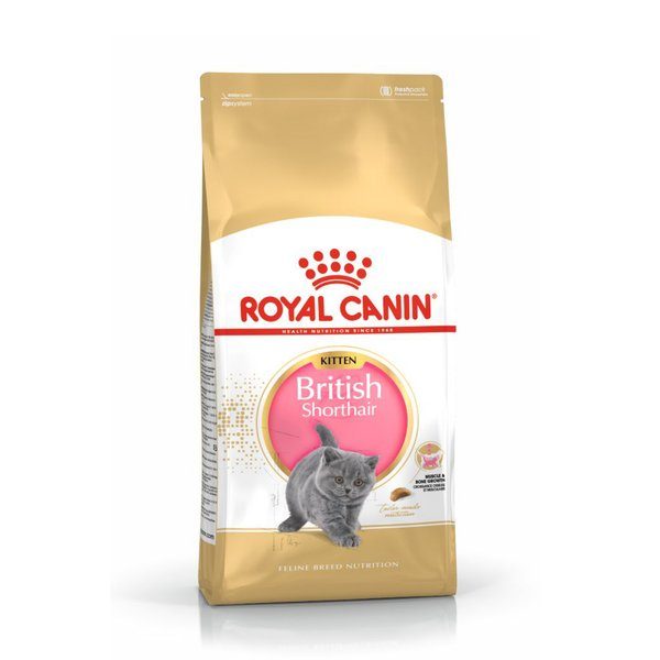 Royal Canin British Shorthair Kitten