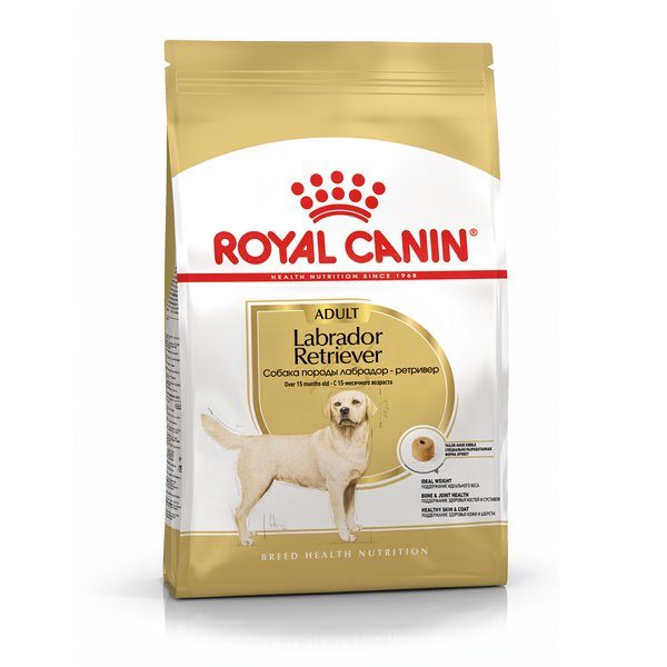 Royal Canin Labrador Retriever Adult