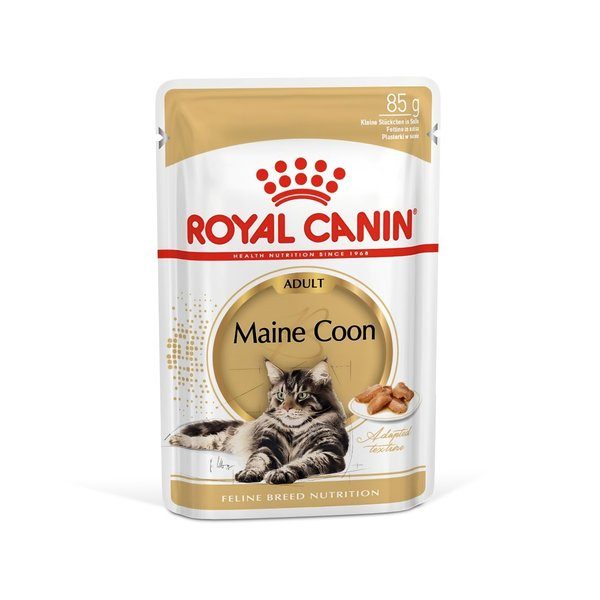Royal Canin Maine Coon Adult