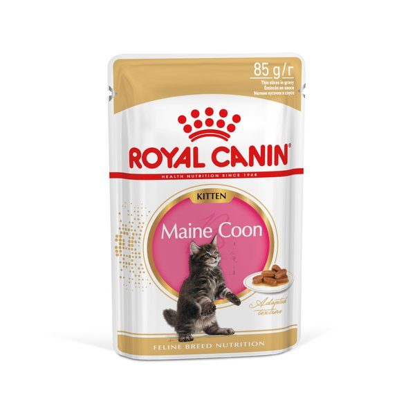 Royal Canin Maine Coon Kitten
